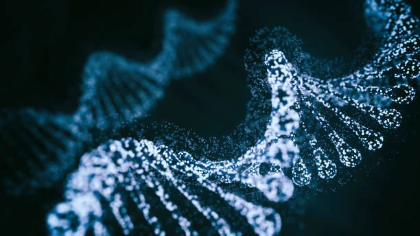 Functioning of mRNA Vaccines