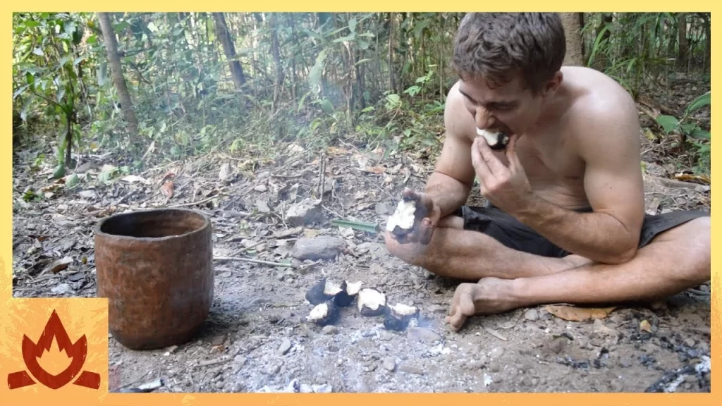 What Happened to Primitive Technology Guy?