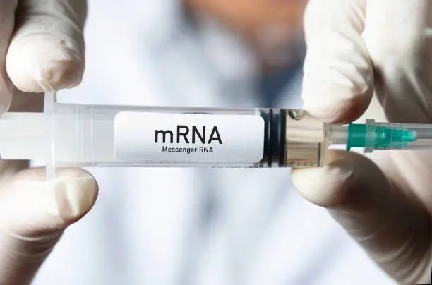 What is mRNA?