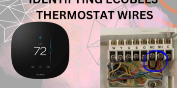Ecobee